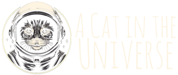 A Cat in the Universe